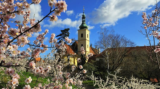 майские праздники в Чехии 2022