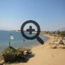  Dolphin Nuweiba ( ) 4* (, )