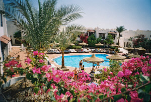  Comfort El Diwan 4* (  ) (,   )