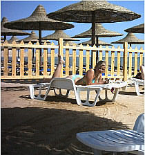  Sol Melia Sharm (  ) 4* (,   )