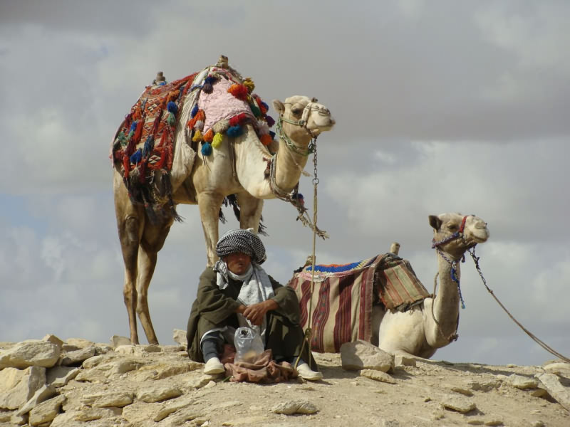 Бизнес по-бедуински. Жизнь бедуинов Египта.
