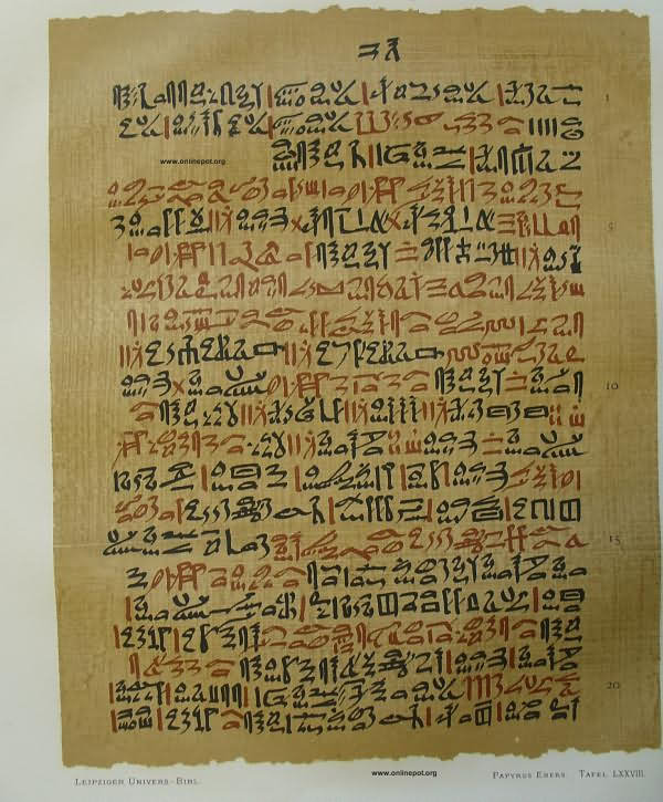 Доклад по теме Древнеегипетская письменность 