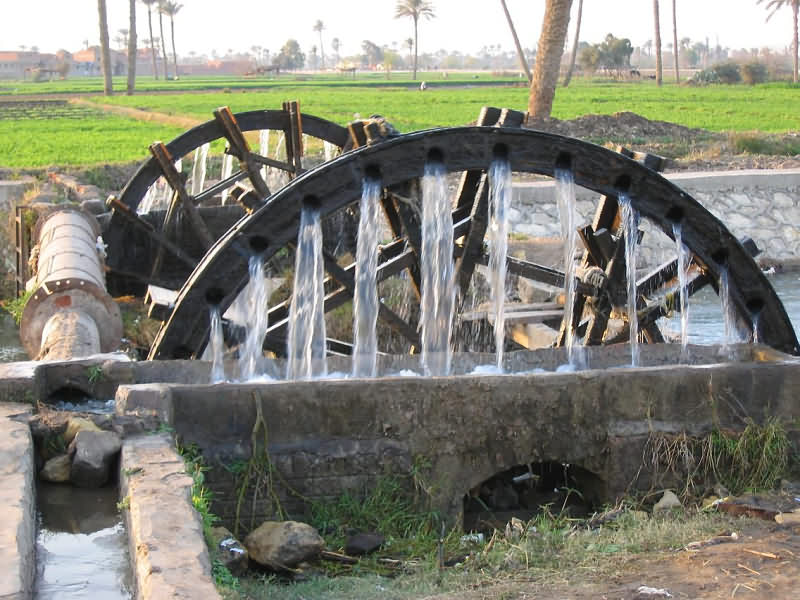 Чигирь это. Водоподъемное колесо Чигирь. Водоподъемное колесо в древнем Египте. Водяные мельницы в древнем Риме. Водопоподъёмное колесо нория.