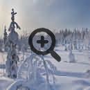 Сказочная Лапландия, охота на северное сияние