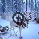 Камос или Новогодняя Лапландия- Лапландская зима