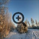 На автомобиле в Финляндию: в лесу
