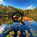 Озерный регион Финляндии 