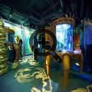 Залы аквариума оформлены как интерактивные тематические выставки 