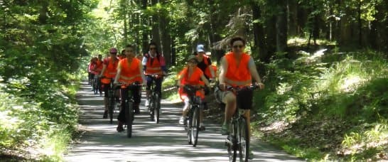 ����� � ��������