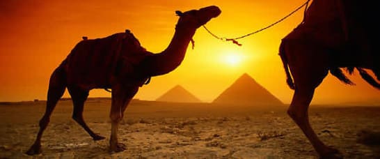 ����� � ������