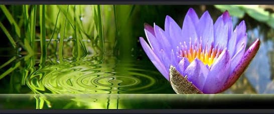 ����� �� ���-�����