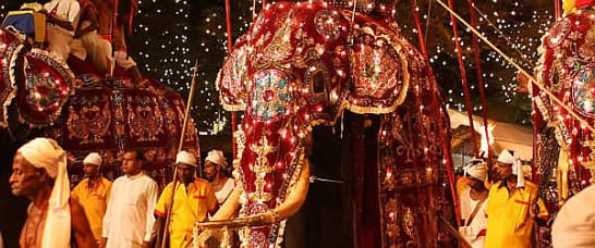 туров на Шри-Ланку