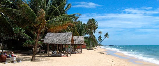 туров во Вьетнам