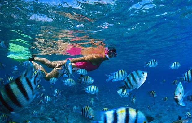 Эйлат – любимый туристами курорт