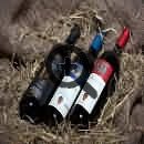 Тосканские вина