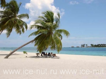 Рай для ленивых или отдых на Мальдивских островах