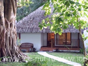 Отель Kuramathi Cottage Club 4* (Мальдивы, Ари Атолл)
