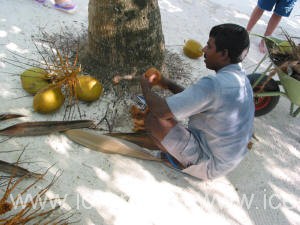  Laguna Maldives 5* (,   )