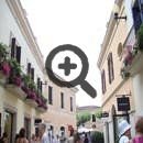   (La Roca)      