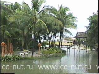Тропический сад Нонг Нуч -1
