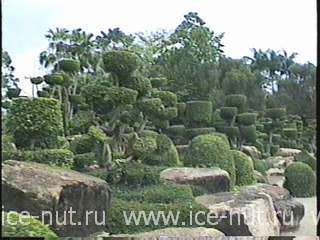 Тропический сад Нонг Нуч -2