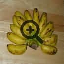 Бананы. Фрукты Тайланда