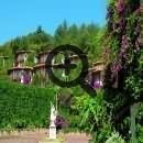  Letoonia Club & Hotel 5* (   ) (, )