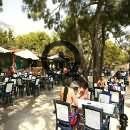  Catamaran Resort Hotel 5* (  ) (, )