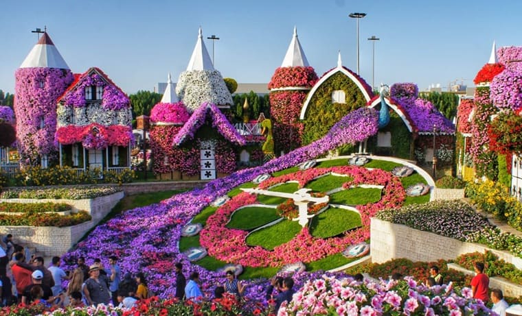 Дубайский сад чудес (Dubai Miracle Garden) Дубайский сад чудес (Dubai Miracle Garden)