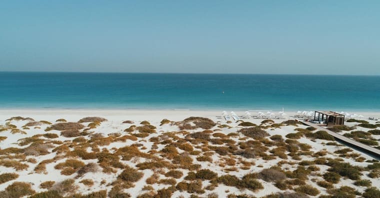 Saadiyat Beach (Пляж Садиат) Saadiyat Beach (Пляж Садиат)